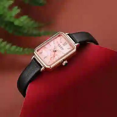 JULIUS JL ins JW1-255A