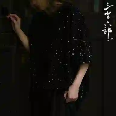 Sanshengliubu Star Embroidery Tee