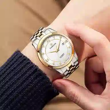 TANGIN 18K 41mm T3025GYWJB