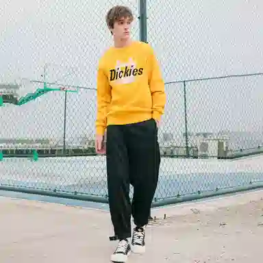 Dickies Logo