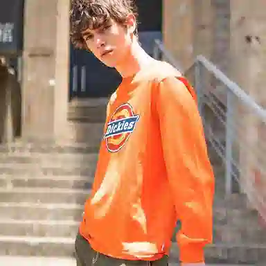 Dickies FW22 logo
