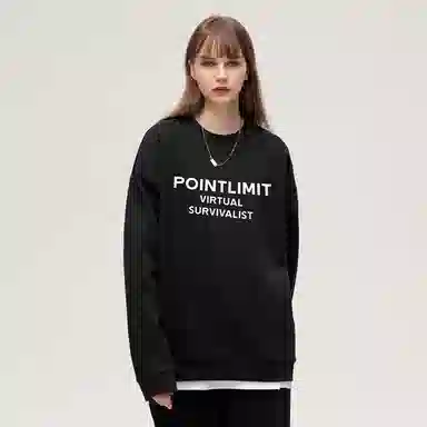 POINTLIMIT Logo