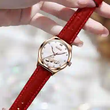 OLEVS PU 30 S-5581-1