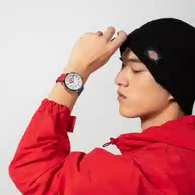 Dickies 210U60LYXCL-349P2-72