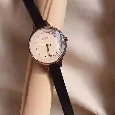 JULIUS JL ins JW8-33E
