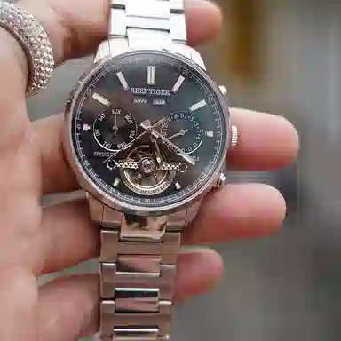 REEF TIGER RGA1667-BH