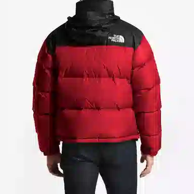 The North Face 700 Fill Down Jacket