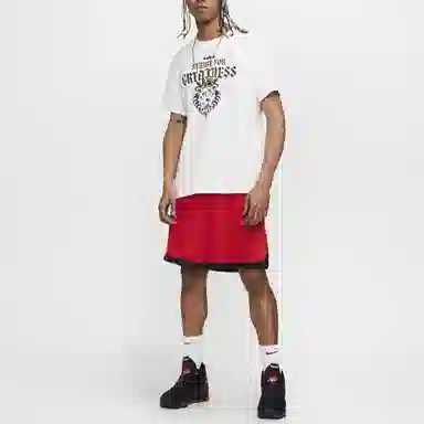 Nike Dri-FIT Lebron Strive For Greatness T