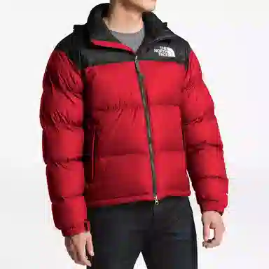The North Face 700 Fill Down Jacket