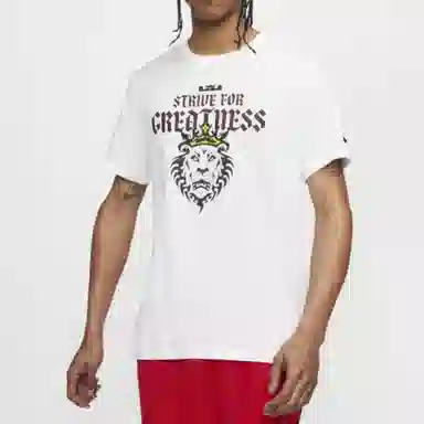 Nike Dri-FIT Lebron Strive For Greatness T