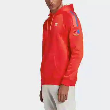 adidas originals 3Dtf 3 Stp Hood Logo