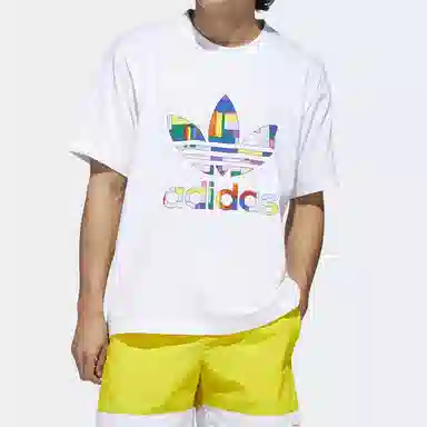 adidas originals Flag Lag Fill Tee T