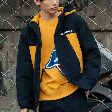 Dickies