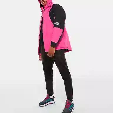 The North Face 1994 Retro Mountain Futurelight