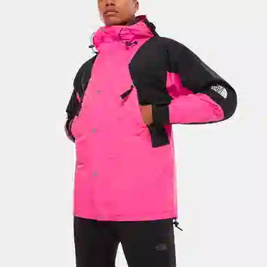 The North Face 1994 Retro Mountain Futurelight