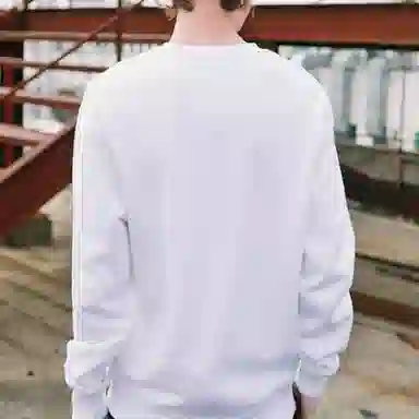 Dickies logo