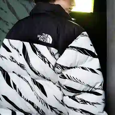THE NORTH FACE Down Parka 700