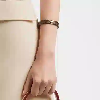 Louis Vuitton LV Essential V Brown