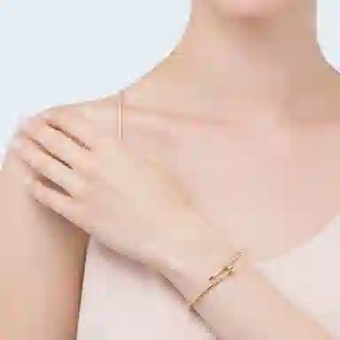 Cartier Juste Un Clou