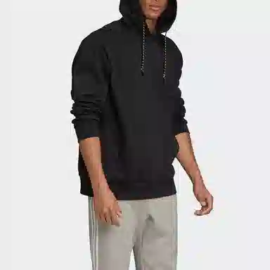 adidas originals Wntrzd Hoodie