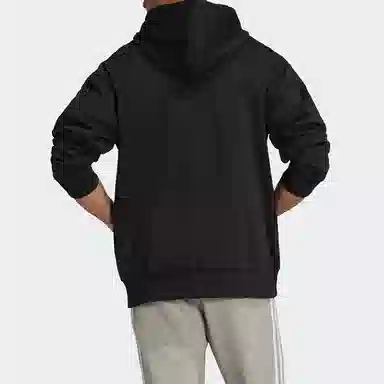 adidas originals Wntrzd Hoodie