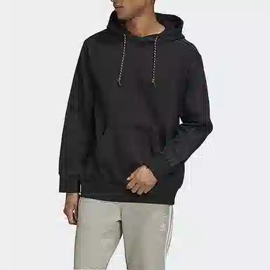 adidas originals Wntrzd Hoodie