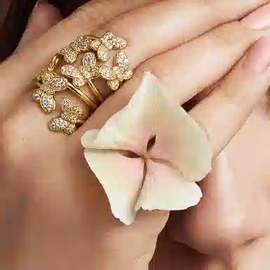 Pandora Shine