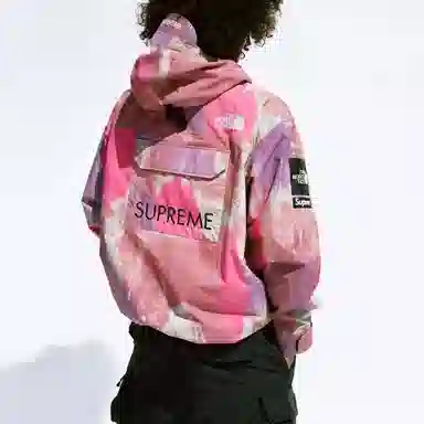 Supreme x The North Face Cargo Jacket