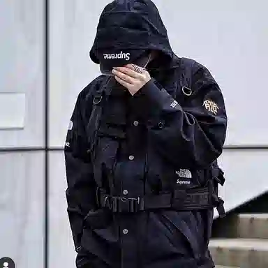 Supreme x The North Face SS20 Vest Jacket Black