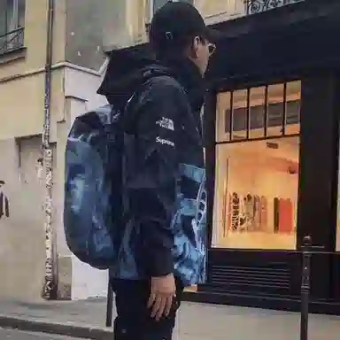 Supreme x The North Face Statue of Liberty Mountain Jacket Black