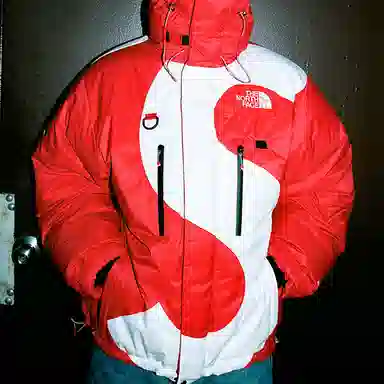 Supreme x The North Face FW20 Logo Himalayan Parka