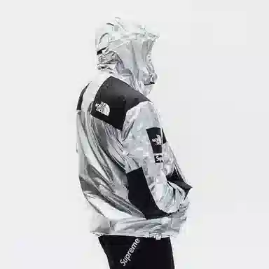 Supreme x The North Face Metallic Jacket Silver