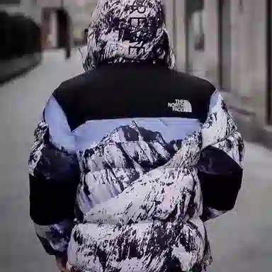 Supreme x The North Face