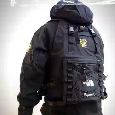 Supreme x The North Face SS20 Vest Jacket Black