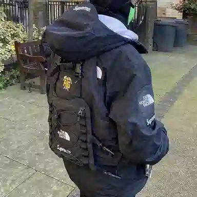 Supreme x The North Face SS20 Vest Jacket Black