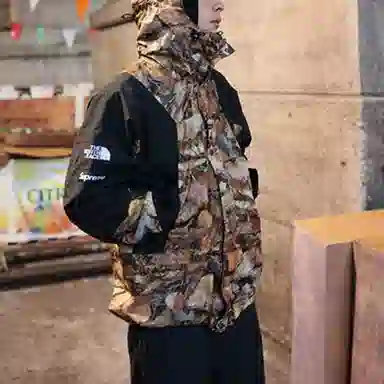 Supreme x The North Face FW16 Leaf Print Jacket Black