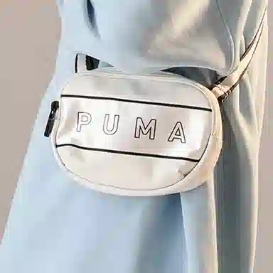 PUMA CORE