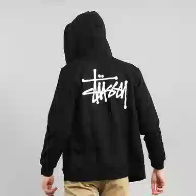 Stussy BASIC ZIP HOOD logo