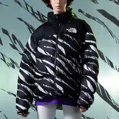 The North Face Down Parka Black