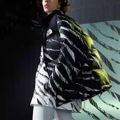 The North Face Down Parka Black