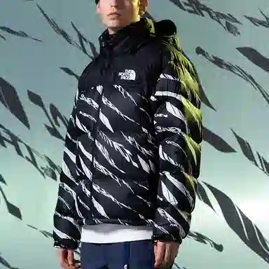 The North Face Down Parka Black