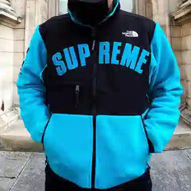 Supreme x THE NORTH FACE SS19