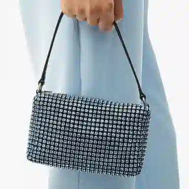 alexander wang heiress