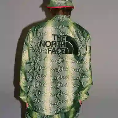 Supreme x The North Face Snake Print Jacket Green