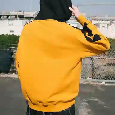 Dickies Logo