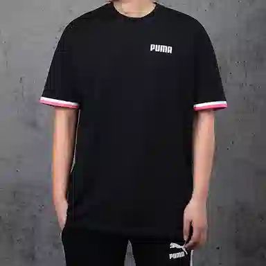Puma T