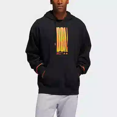 adidas DM PO Hoodie