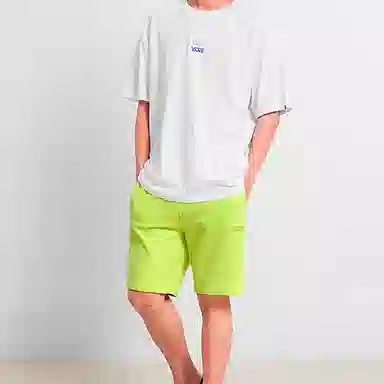Vans FT Shorts