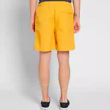 Stussy Stock Water Short Logo