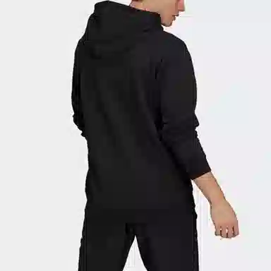 adidas originals Worm Hoodie